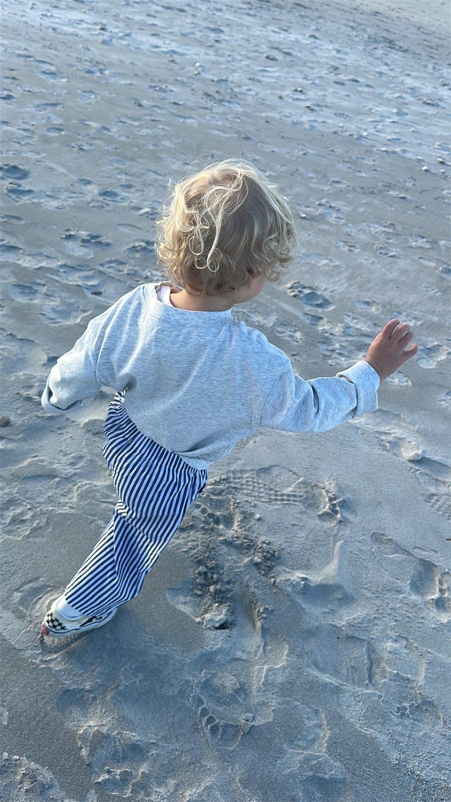 Blueberry Striped Boxer Pants